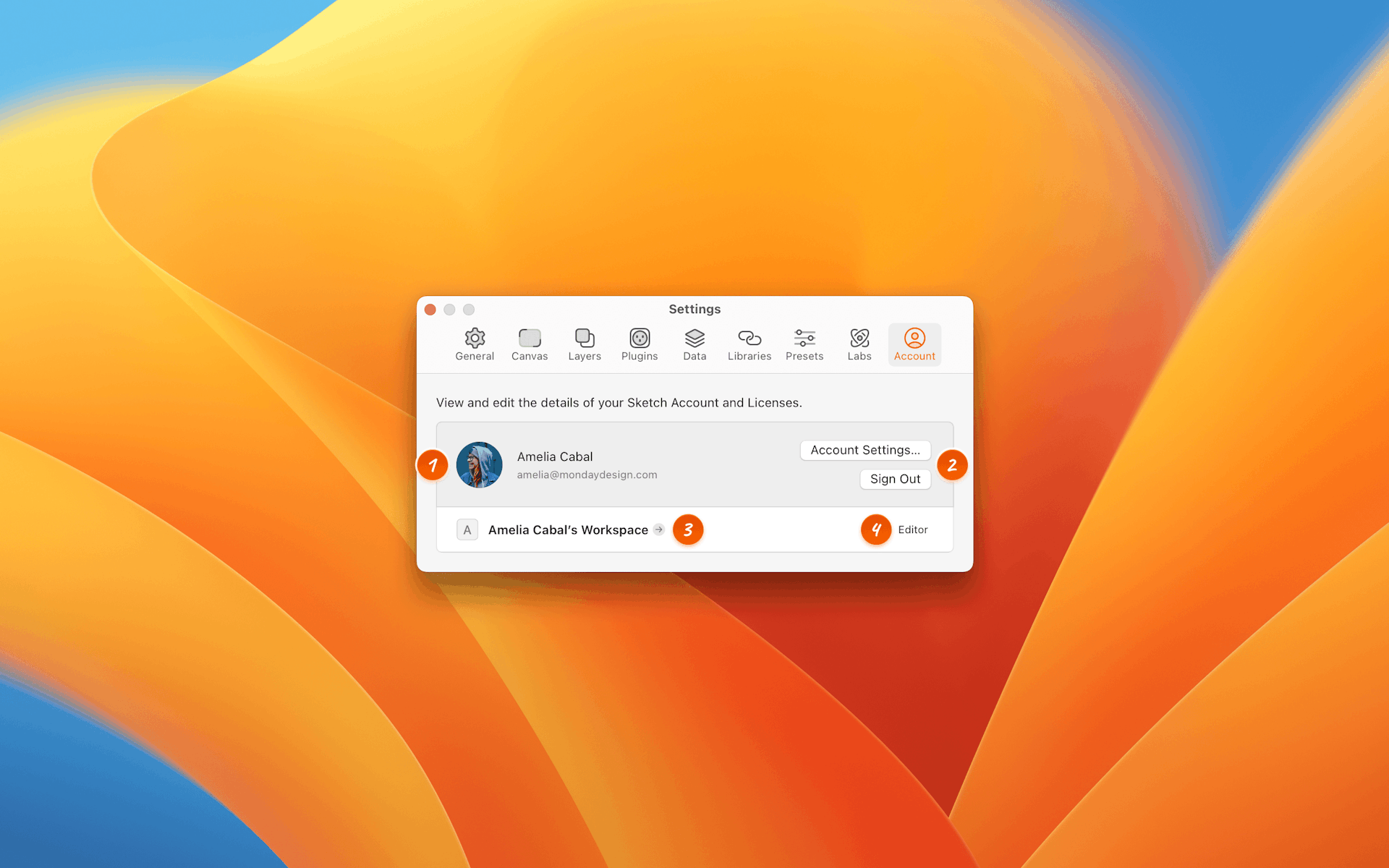 An annotated image showing the Account tab in Settings.