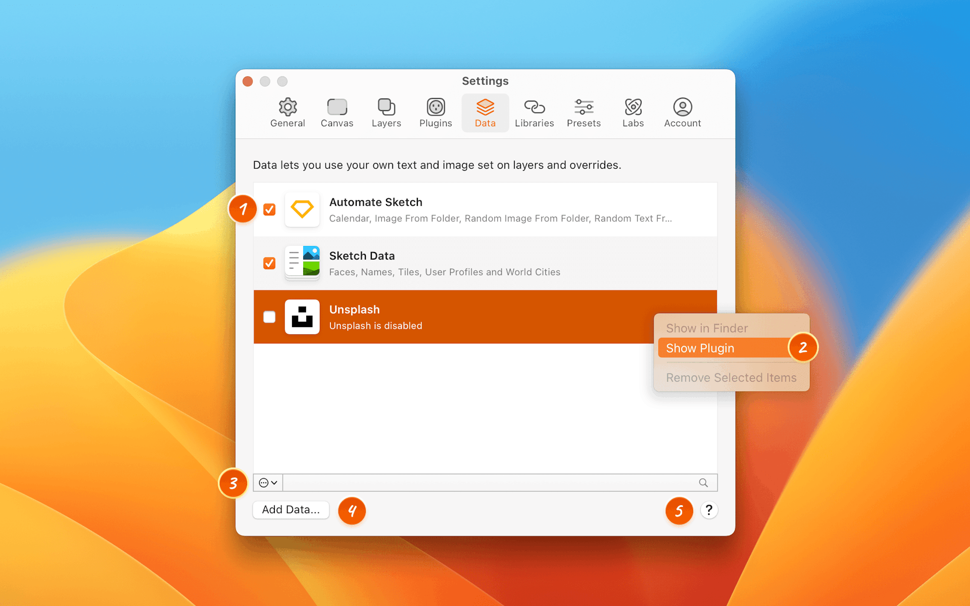 An annotated image showing the Data tab in Settings