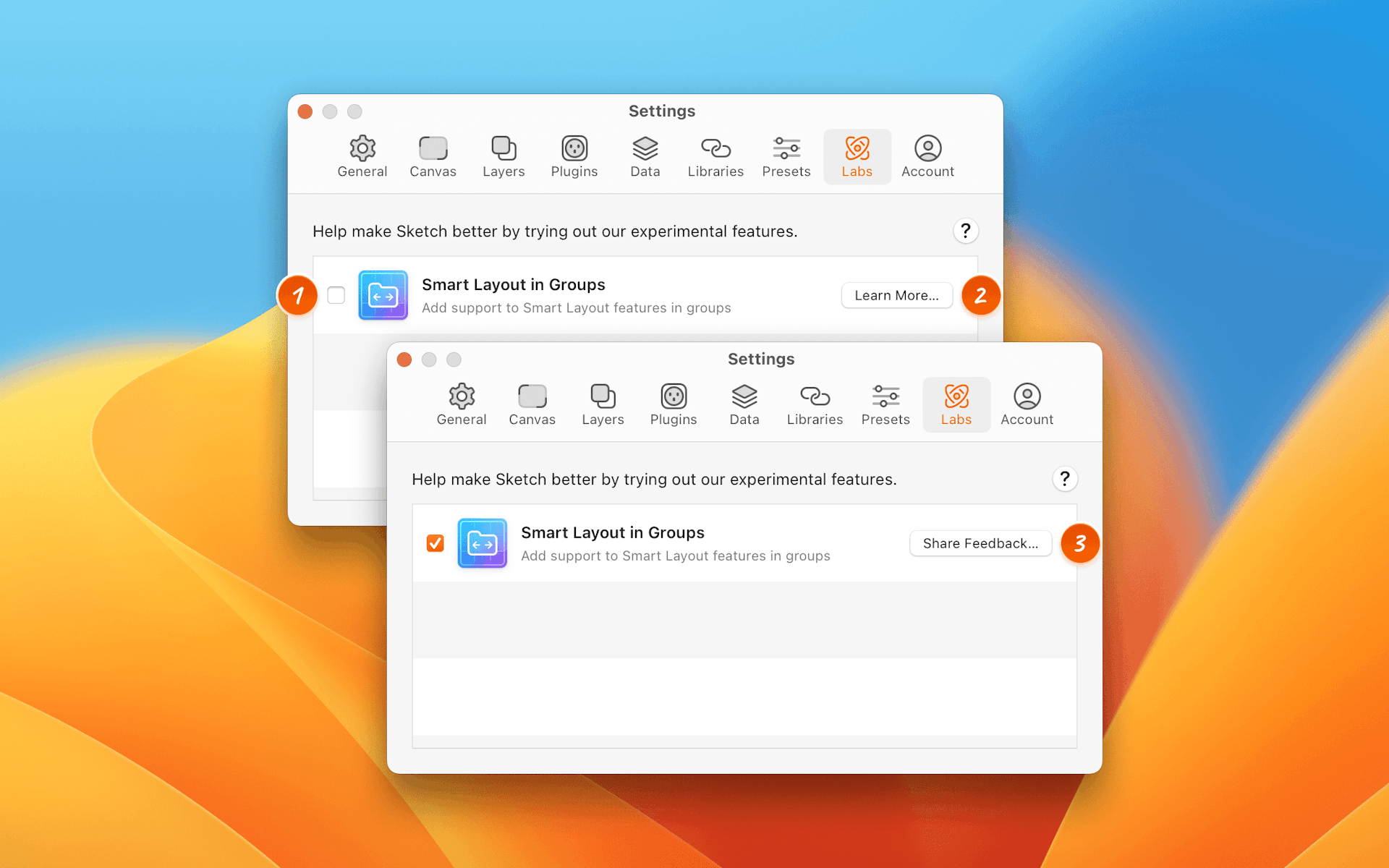 A picture showing the labs tab in Sketch’s settings.